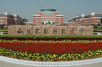 2021年西北农林科技大学MBA学费及学制一览 2021年西北农林科技大学MBA学费及学制一览