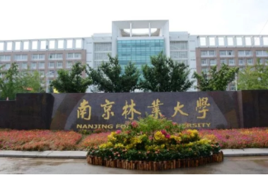 2022年南京林业大学MPAcc学费学制及招生人数一览