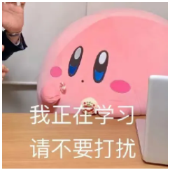 雄松华章摸底考放大招！个性化考研上岸方案一步到位~